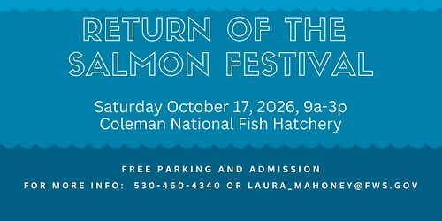 Return of the Salmon Festival