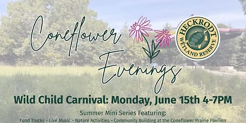 Coneflower Evenings- Wild Child Carnival