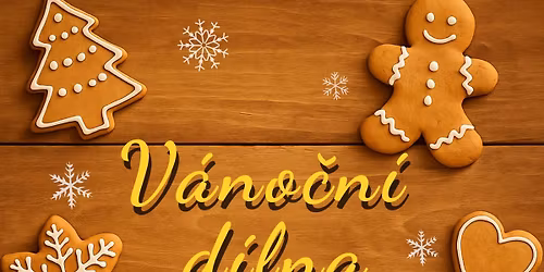 V\u00e1no\u010dn\u00ed d\u00edlna