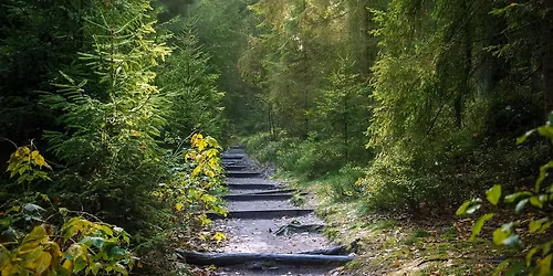 F\u00f3kuszol\u00e1s m\u00f3dszertanul\u00f3 \u00e9s \u00f6nismereti csoport (F\u00f3kusz 1.0)