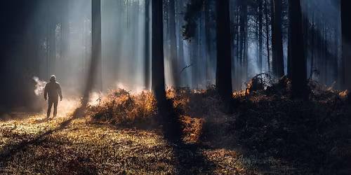 London Photo Exhibition