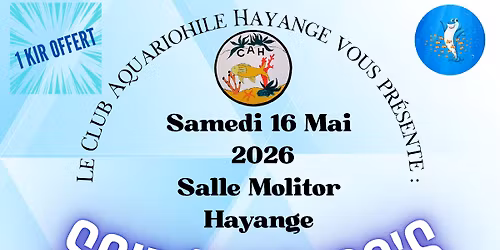soir\u00e9e 80\/90's