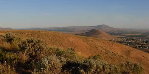 Chapter Business Meeting