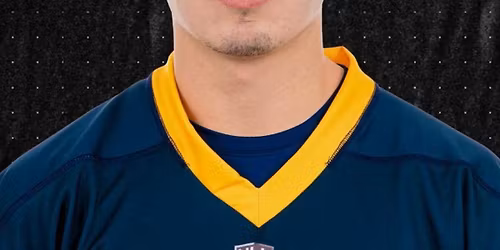 Ottawa Black Bears vs. Georgia Swarm