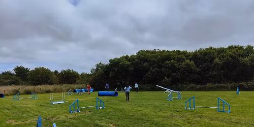 OneMind Dogs Global Challenge Meetup