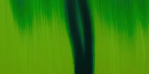 LVSO sezono pabaigos koncertas: L. Vilkon\u010dius. Roko opera \u201eEgl\u0117\u201c