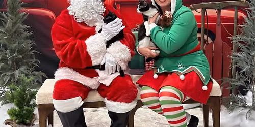 Pet Photos with Santa - Mississauga