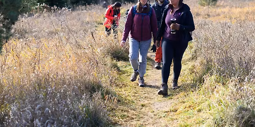 Wild Toronto: Into the Ravines