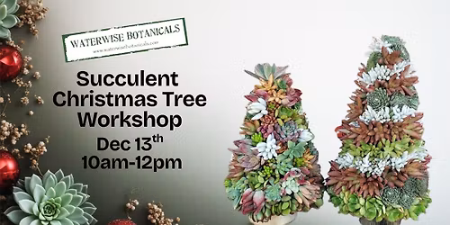 Succulent Christmas Tree Workshop