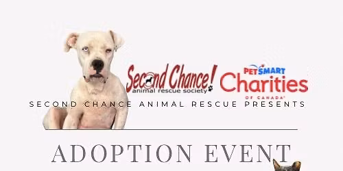 Adoption Event at Petsmart