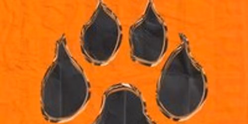 Jungle Thursdays - Newcastle's Wildest Student Event