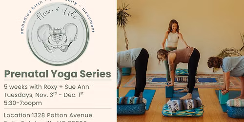 November Prenatal Series