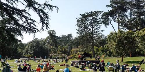 IN A LANDSCAPE: San Francisco Botanical Garden