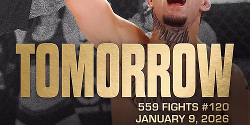 UFC 330