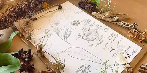 Stories, Sketches and Stillness: A Nature Retreat in the stunning Flinders Ranges
