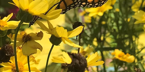 Master Gardener Education Day and Plant Sale