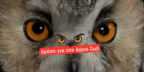 5\/11 \u0394\u03c1\u03ac\u03c3\u03b7 \u03b3\u03b9\u03b1 \u03c4\u03b7\u03bd \u0386\u03b3\u03c1\u03b9\u03b1 \u0396\u03c9\u03ae