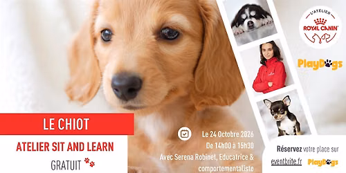 Atelier Sit & Learn - Chiot