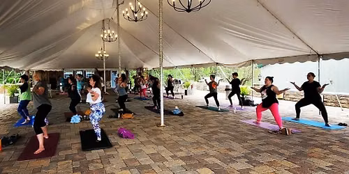 Yoga at the Vineyard