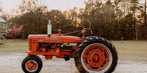 Christmas\/Holiday Field Session