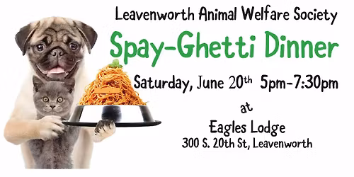 LAWS Spay-Ghetti Dinner