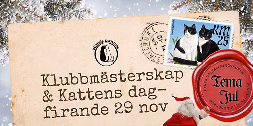 Klubbm\u00e4sterskap VRK 2025