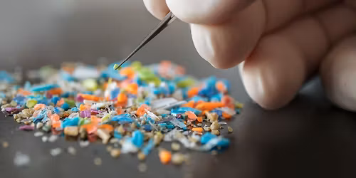 MicroWise: Teaching Youth to Understanding Microplastics