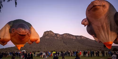 FREE | TEMORA Skywhales Across Australia