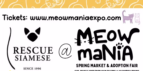Rescue Siamese @ Meow Mania!