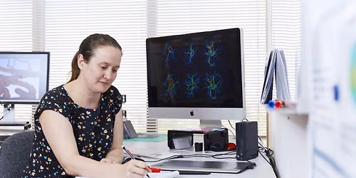 Maths, medicine and motherhood: A journey through life in bioengineering