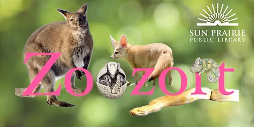 Zoozort Live Animal Program