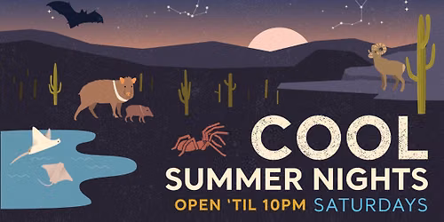 Rocks and Stars (Cool Summer Nights) 