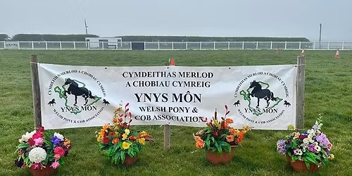 Sioe Gywion, Stoc Ifanc a Marchogaeth \/ Foal, Youngstock & Ridden Show 2025