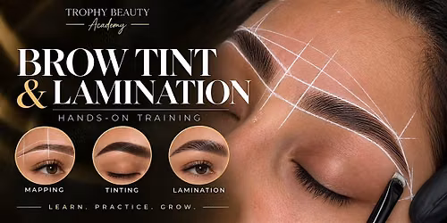 Brow Mastery : Tint, Mapping, Lamination
