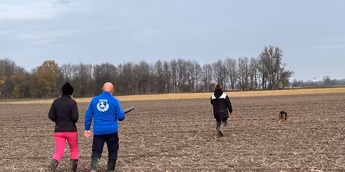 Fr\u00fchjahrspr\u00fcfung 2026