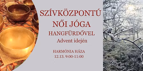 Sz\u00edvk\u00f6zpont\u00fa N\u0151i J\u00f3ga Hangf\u00fcrd\u0151vel