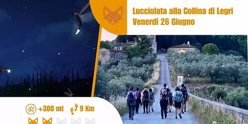 Lucciolata alla Collina di Legri