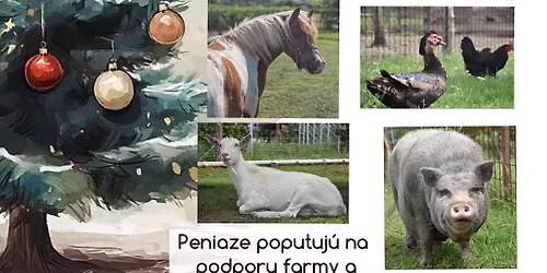 Viano\u010dn\u00e1 rozpr\u00e1vka na minifarme nad vinicou