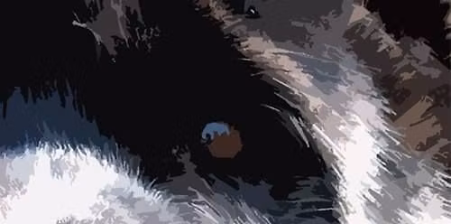 K\u00e4ytt\u00e4ytymisen jalostustarkastus