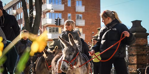 Palmes\u00f8ndag \ud83c\udf3f B\u00f8rne- og familiegudstjeneste og \u00e6selridning p\u00e5 kirkepladsen