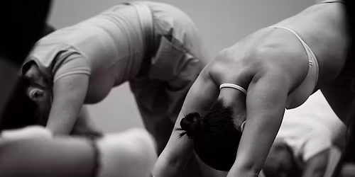 Power Yoga Flow (Heated) PowerHouse Gym