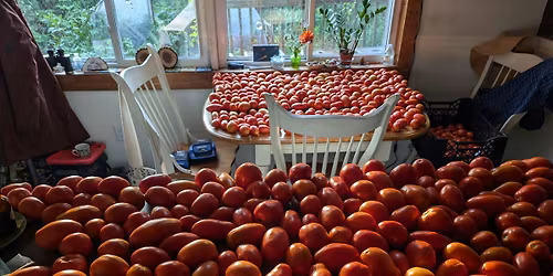 Making and Preserving Tomato Sauce