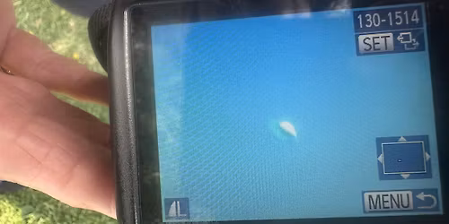 April UFO Sighting Event!