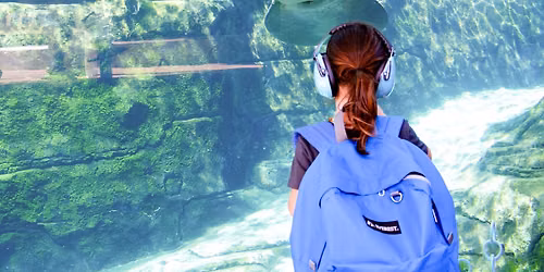 Sensory SEA at Mote Science Education Aquarium 