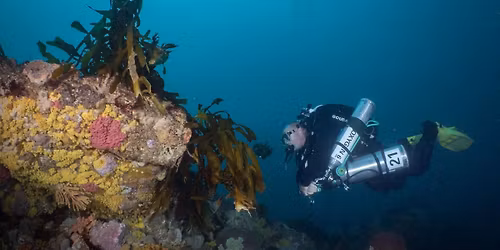 Diveline PADI Tec40 Course 