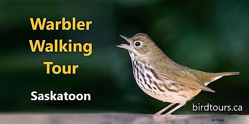 Warbler Walking Tour - Holiday Park