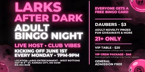 Larks After Dark Bingo Night
