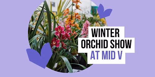 WINTER ORCHID SHOW \ud83c\udf38\u2728