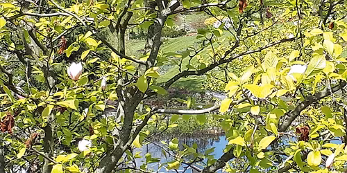 Warsztaty - Energie Natury w codziennym \u017cyciu.