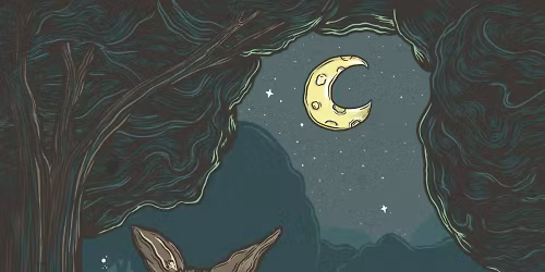 Quinn, Ivory in City of Brisbane